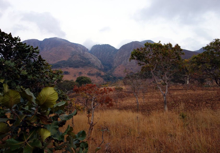 Mafinga Hills, Eastern Province, Zambia